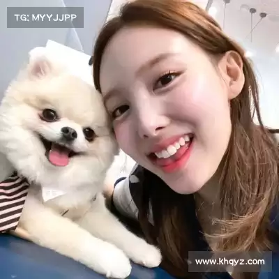 陈泉晶